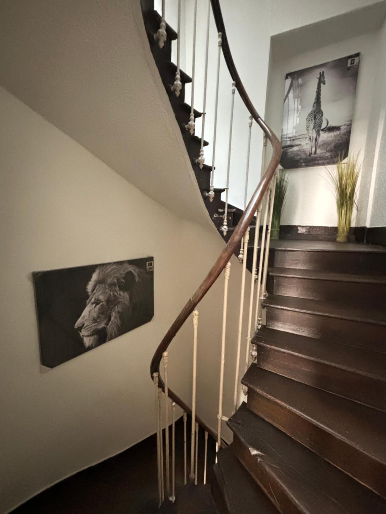 サン・テニャンLe Duplex Safariアパートメント エクステリア 写真